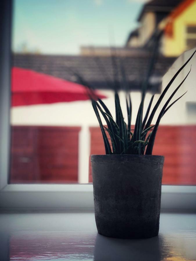 Paul'S Place Near Heathrow 伦敦 外观 照片